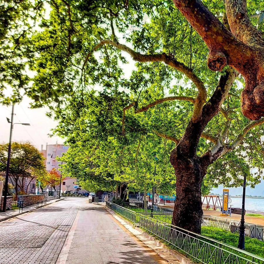 Nafpaktos Beach Luxury Suites Ngoại thất bức ảnh
